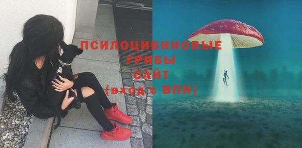 индика Медвежьегорск