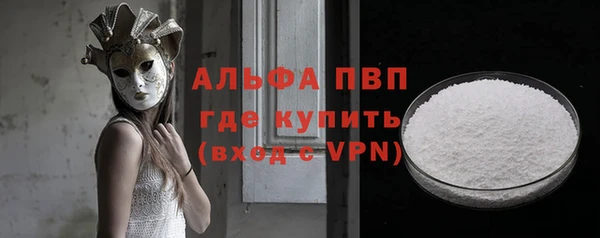 ECSTASY Михайлов