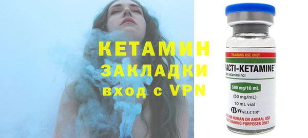 индика Медвежьегорск
