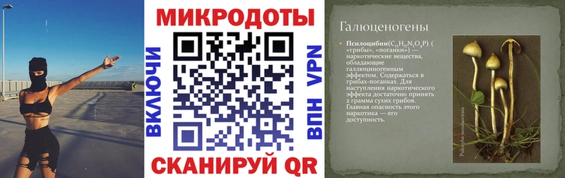 Купить закладки  Назарово  Псилоцибиновые грибы Magic Shrooms 